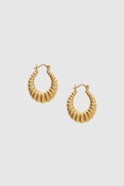 Shop Anine Bing Oval Ribbed Hoop Earrings In 14k Gold In 14k Yellow Gold