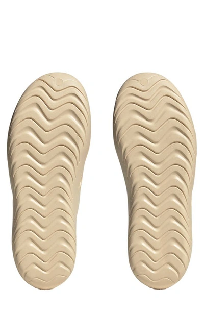 Shop Adidas Originals Adicane Clog In Sand/ Sand/ Sand