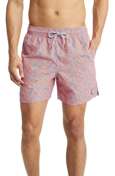 Shop Tom & Teddy Coral Print Swim Trunks In Mid Blue & Orange