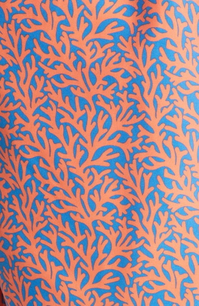 Tom & Teddy Coral Print Swim Trunks In Mid Blue & Orange