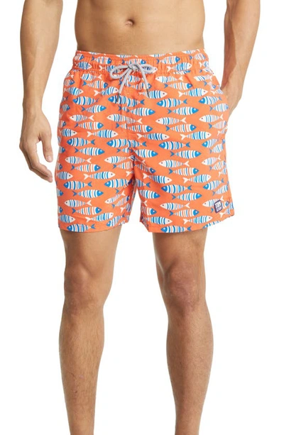 Tom & Teddy Fish Swim Trunks In Striped Orange