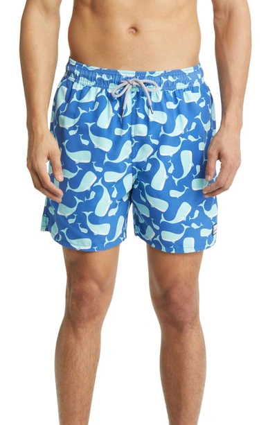 Shop Tom & Teddy Whale Print Swim Trunks In Navy & Aqua