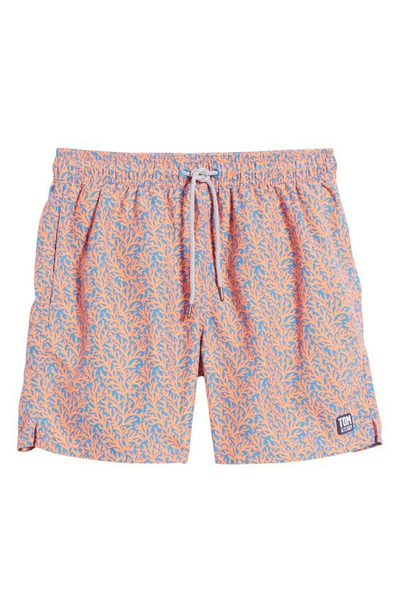 Shop Tom & Teddy Coral Print Swim Trunks In Mid Blue & Orange