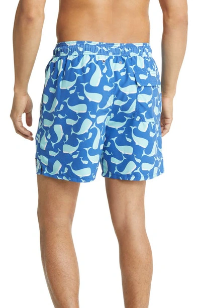 Tom & Teddy Whale Print Swim Trunks In Navy & Aqua
