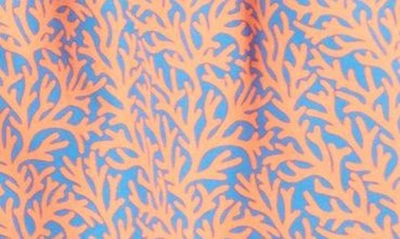 Shop Tom & Teddy Coral Print Swim Trunks In Mid Blue & Orange