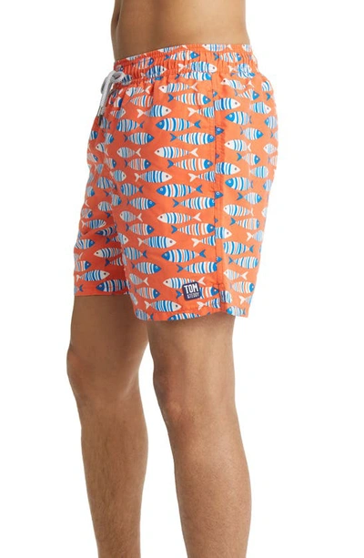 Shop Tom & Teddy Fish Swim Trunks In Striped Orange