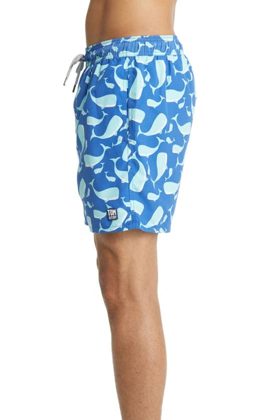 Tom & Teddy Whale Print Swim Trunks In Navy & Aqua