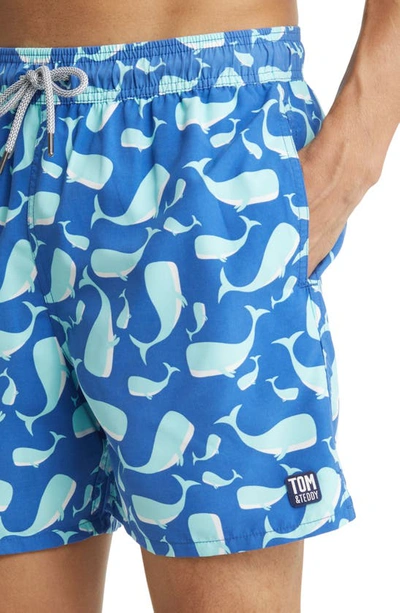 Tom & Teddy Whale Print Swim Trunks In Navy & Aqua