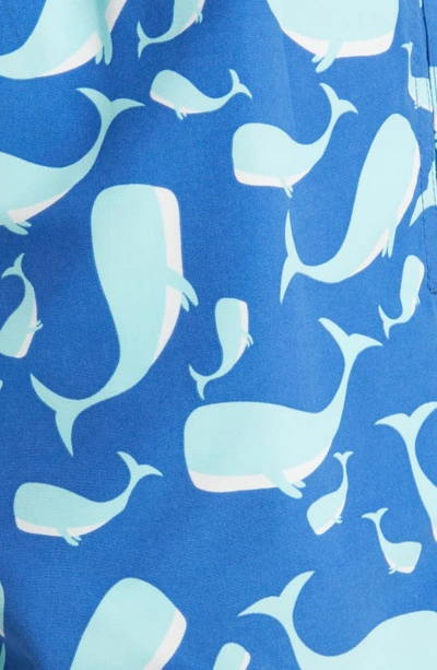 Tom & Teddy Whale Print Swim Trunks In Navy & Aqua