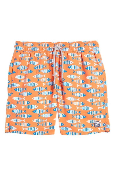 Tom & Teddy Fish Swim Trunks In Striped Orange