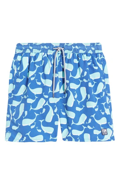 Tom & Teddy Whale Print Swim Trunks In Navy & Aqua