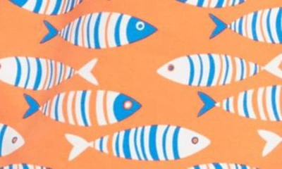 Tom & Teddy Fish Swim Trunks In Striped Orange