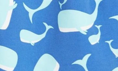 Tom & Teddy Whale Print Swim Trunks In Navy & Aqua
