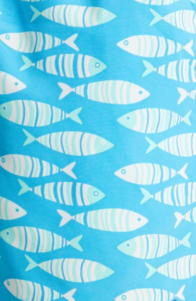 Shop Tom & Teddy Fish Print Swim Trunks In Striped Blue