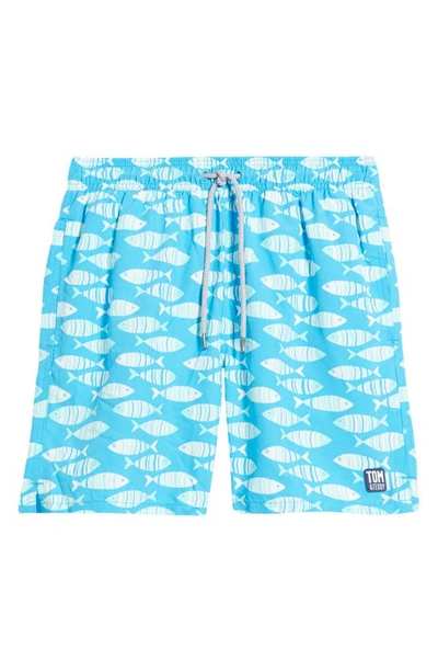 Shop Tom & Teddy Fish Print Swim Trunks In Striped Blue