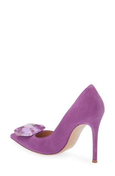 Shop Gianvito Rossi Jaipur Crystal Pointed Toe Pump In Freesia