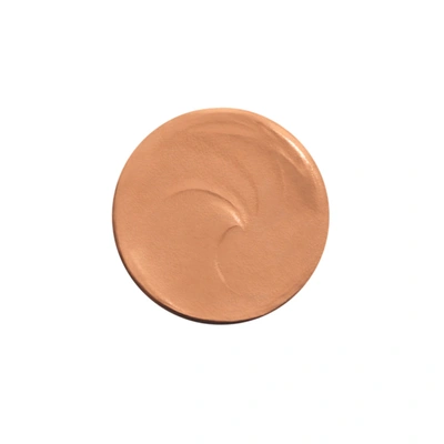 Nars Soft Matte Complete Concealer In Chestnut