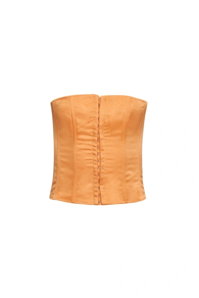 Shop Danielle Guizio Ny Satin Corset In Sunset