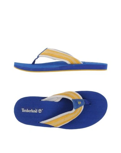 Timberland Flip Flops In Ocher