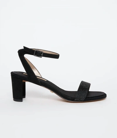 Shop Pelle Moda Moira Heeled Sandal In Black