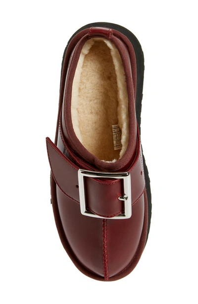 Shop Ugg X Opening Ceremony Tasman X Platform Slip-on Shoe In Oxblood