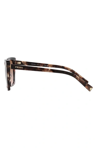 Shop Prada 55mm Square Sunglasses In Caramel