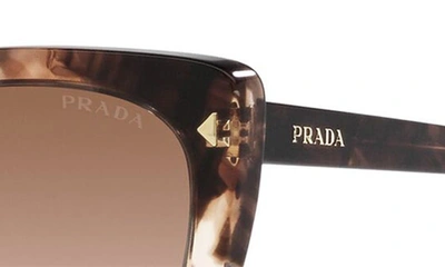 Shop Prada 55mm Square Sunglasses In Caramel