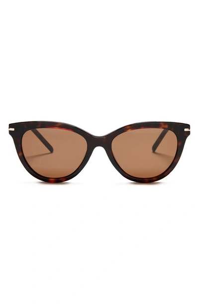 Shop Paige Micah 53mm Cat Eye Sunglasses In Dark Tortoise
