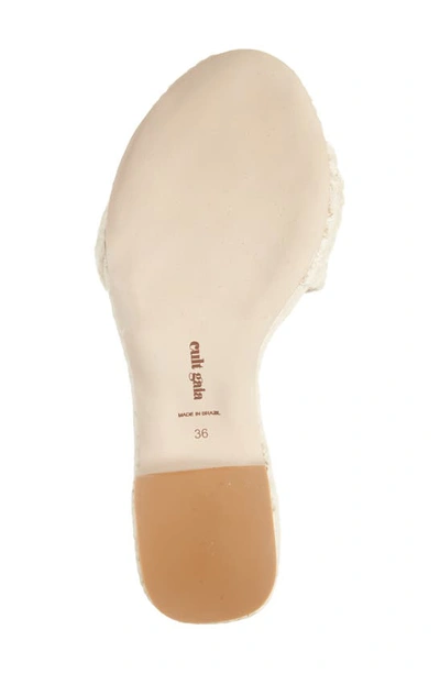 Shop Cult Gaia Cleia Braided Jute Platform Sandal In Off White