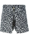 BOUTIQUE MOSCHINO graphic leopard print shorts,DRYCLEANONLY