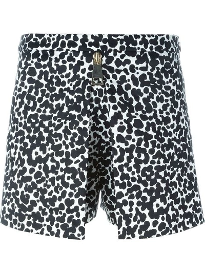 Boutique Moschino Graphic Leopard Print Shorts In Black