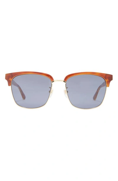 Shop Gucci 56mm Square Sunglasses In Havana Blue