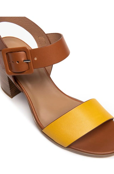 Shop Nerogiardini City Colorblock Ankle Strap Sandal In Yellow/ Cognac