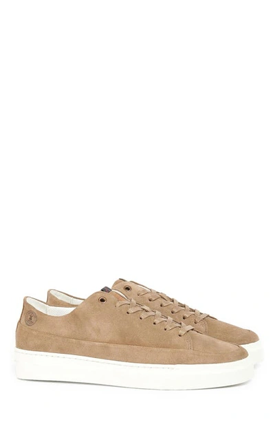 Shop Barbour Lago Sneaker In Sand Suede