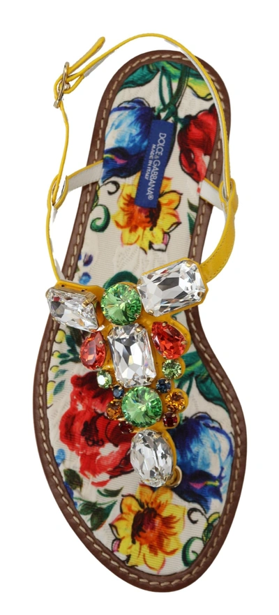 Shop Dolce & Gabbana Multicolor Majolica Crystal Sandals Flip Flop Women's Shoes