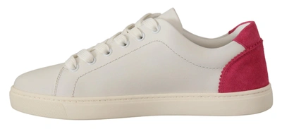 Shop Dolce & Gabbana White Pink Leather Low Top Sneakers Womens Shoes