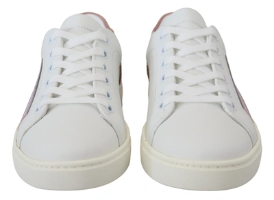 Shop Dolce & Gabbana White Pink Leather Low Top Sneakers Women's Shoes