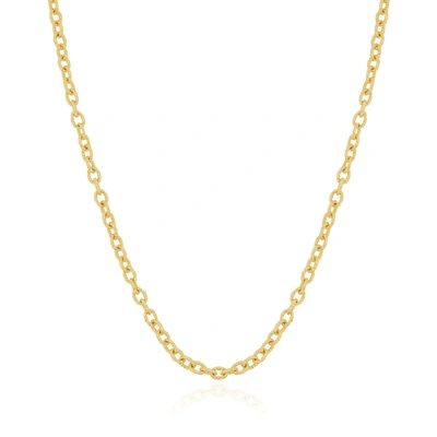 Shop The Lovery Textured Link Chain Necklace In Gold