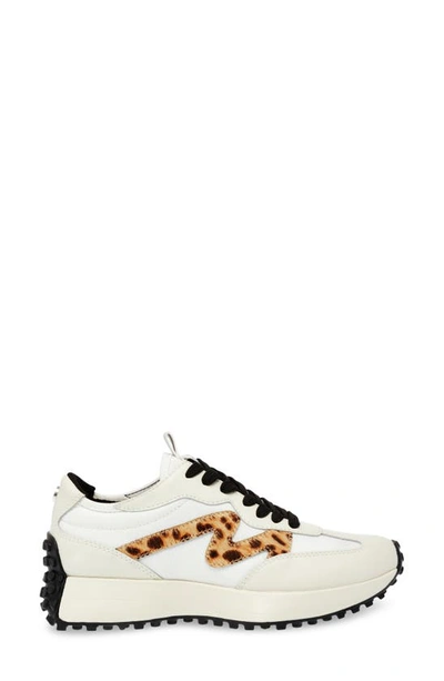 Shop Steve Madden Campo Sneaker In White/ Leopard Calf Hair