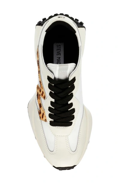Shop Steve Madden Campo Sneaker In White/ Leopard Calf Hair