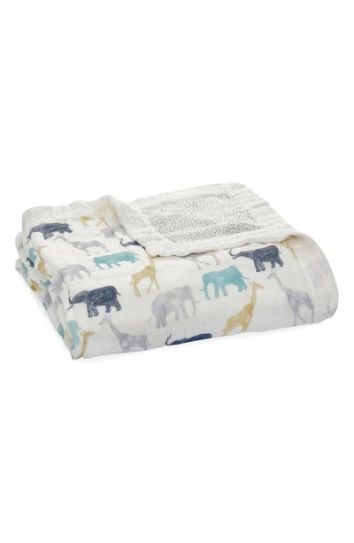 Shop Aden + Anais 'silky Soft Dream' Blanket In Expedition