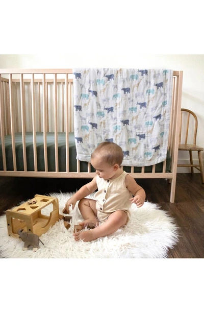 Shop Aden + Anais 'silky Soft Dream' Blanket In Expedition