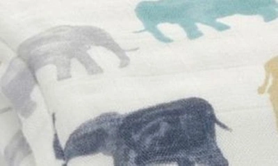 Aden + Anais 'silky Soft Dream' Blanket In Expedition