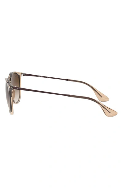 Shop Ray Ban Erika 54mm Gradient Round Sunglasses In Brown/ Brown Gradient