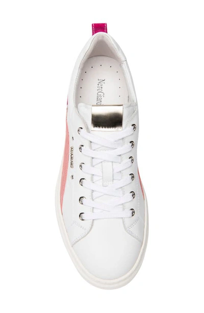 Shop Nerogiardini Retro Colorblock Sneaker In White/ Fuchsia Multi