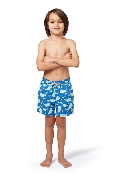 Shop Tom & Teddy Kids' Whale Swim Trunks In Navy & Aqua