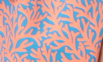 Shop Tom & Teddy Kids' Coral Swim Trunks In Mid Blue & Orange