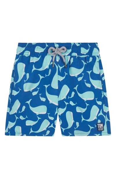 Shop Tom & Teddy Kids' Whale Swim Trunks In Navy & Aqua