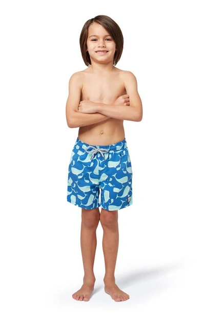Tom & Teddy Boys' Whale Print Swim Trunks - Little Kid, Big Kid In Navy & Aqua