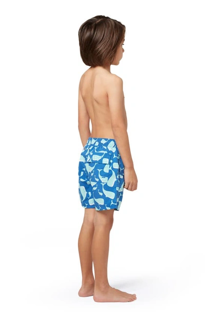 Shop Tom & Teddy Kids' Whale Swim Trunks In Navy & Aqua